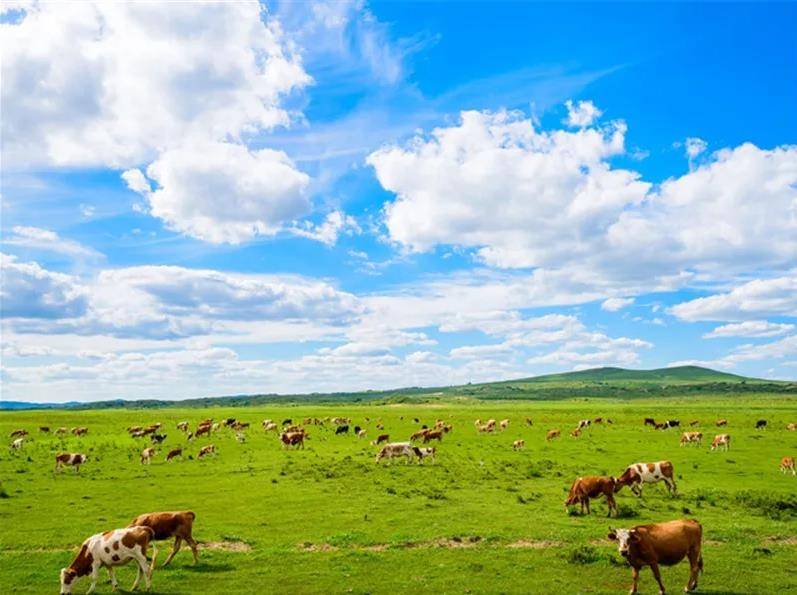 内蒙古,草原自信之歌