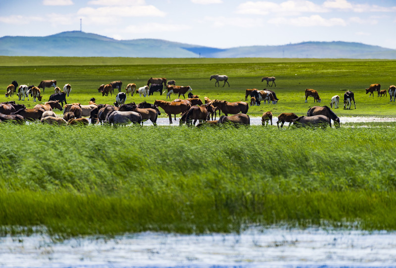 内蒙古,草原自信之歌