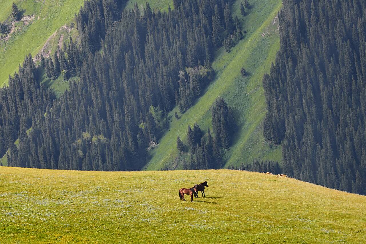 新疆，嘉宾云集，观众热情如火