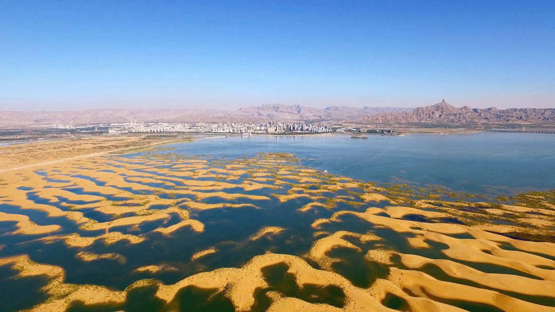 霓虹梦碎,乌海失业影星夜